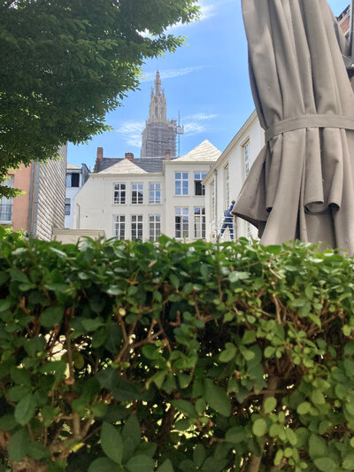 Zicht op de Kathedraal van Antwerpen vanuit de tuin van De Hofkamer